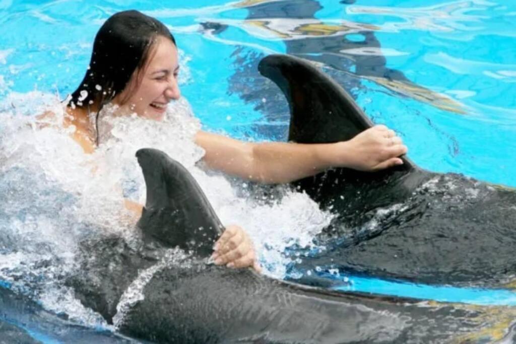 El Mas Completo, A Menos De 5 Minutos De La Playa, Free Wifi Fuera Del Alojamiento プエルト・プラタ エクステリア 写真
